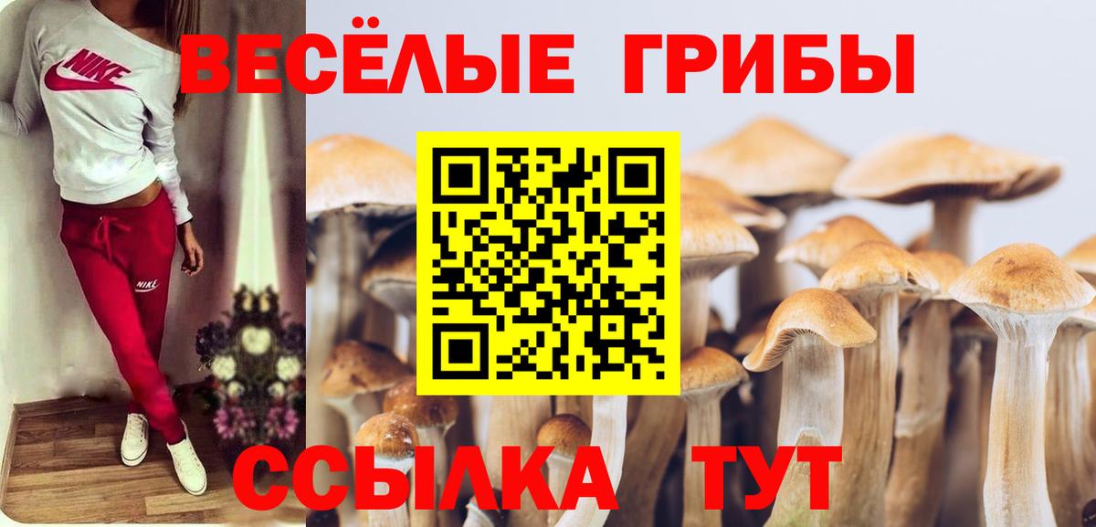  КОКАИН Выкса