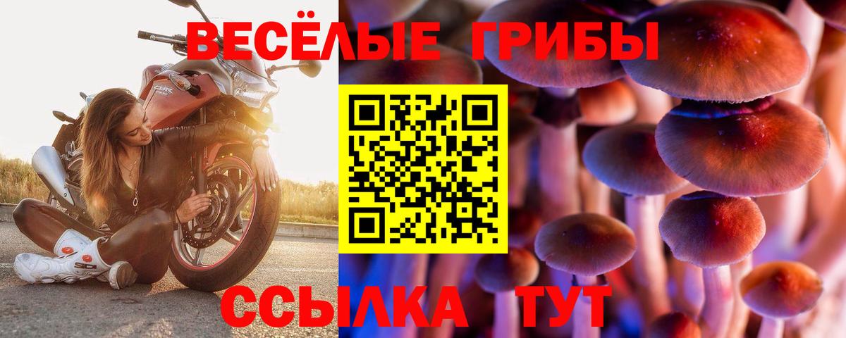 Псилоцибиновые грибы MAGIC MUSHROOMS  купить наркотики сайты  Выкса  Псилоцибиновые грибы ЛСД  Вход с VPN 