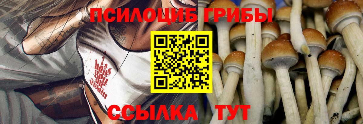 Галлюциногенные грибы MAGIC MUSHROOMS Выкса